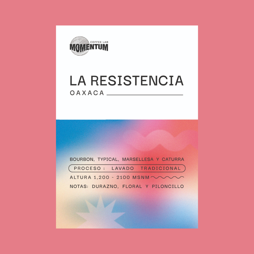 La Resistencia - Oaxaca